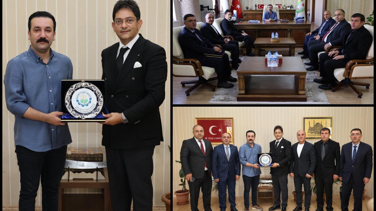 Otomatik Taslak
