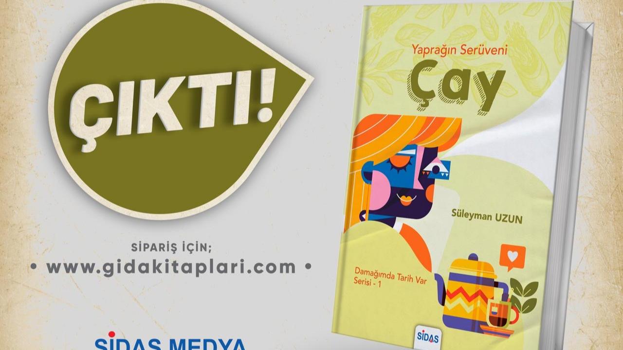 Otomatik Taslak